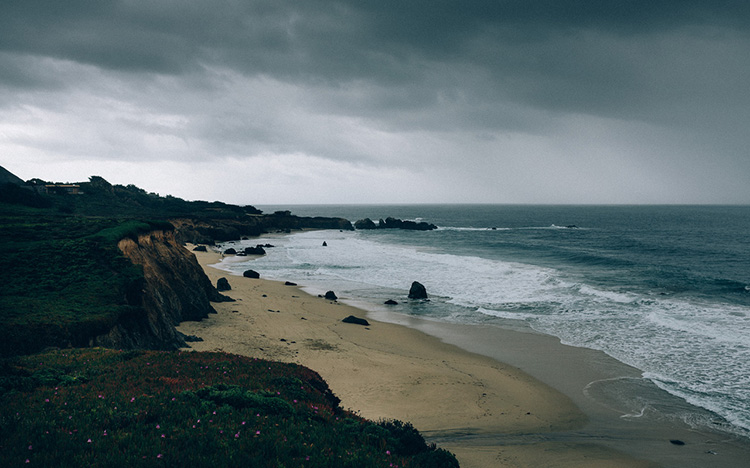 短信测试网站免费